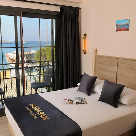 Hotel Horasan *